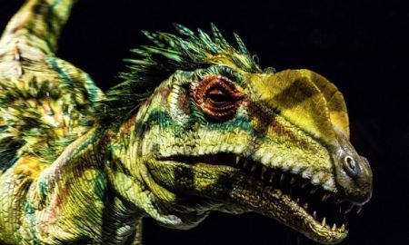 เปิด 5 ตัวเลข ที่ยืนยันว่า WALKING WITH DINOSAURS คือ สุดยอดโชว์ไดโนเสาร์อันดับ 1 ของโลก